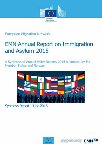 Cover: EMN 2015 - Politikbericht Synthese