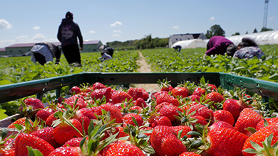 Quelle: © GettyImages | Andreas Coerper