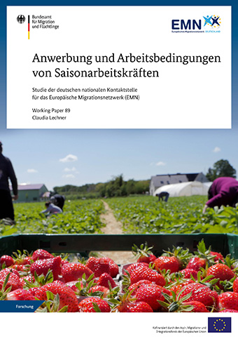 Cover: WP89 Anwerbung und Arbeitsbedingungen von Saisonarbeitskräften