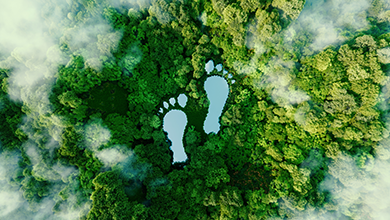 Quelle: AdobeStock | malp